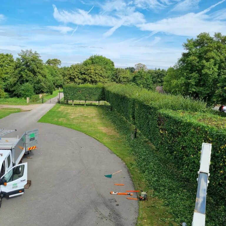 This is a photo of a hedge which is being trimmed surrounding a large driveway